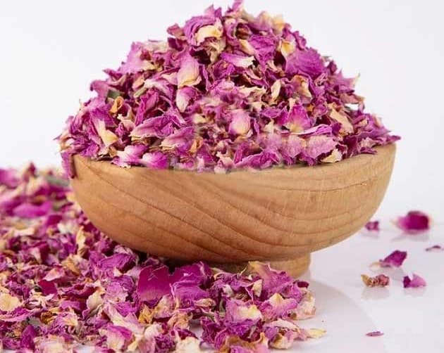 تصویر 1 از خرید گل محمدی شست پر + قیمت فروش استثنایی